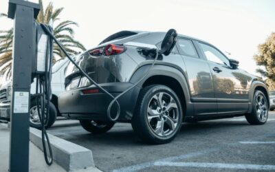 Electric Vehicle Audience Insights