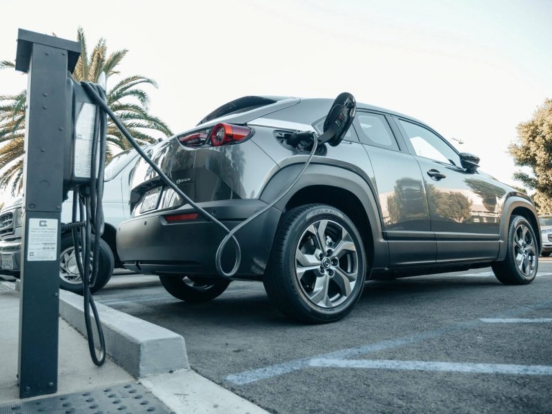 Electric Vehicle Audience Insights